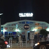 Paloma Blanca